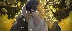  1boy black_hair blood blood_from_mouth branch coat e.g.o_(project_moon) flower flower_over_eye grey_coat half-closed_eyes hanbok hand_up highres korean_clothes limbus_company long_sleeves male_focus motoiwork parted_lips project_moon robe short_hair solo spicebush_(e.g.o) technology_liberation_alliance_(identity)_(project_moon) upper_body white_hanbok white_robe yellow_eyes yellow_flower yellow_leaves yi_sang_(project_moon) 