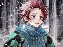  1boy 5edaa blue_scarf bright_pupils checkered_haori commentary_request crying crying_with_eyes_open earrings forest hanafuda_earrings haori japanese_clothes jewelry kamado_tanjirou kimetsu_no_yaiba male_focus nature open_mouth outdoors red_eyes red_hair scar scar_on_face scar_on_forehead scarf single_empty_eye snow solo tears teeth upper_teeth_only white_pupils 