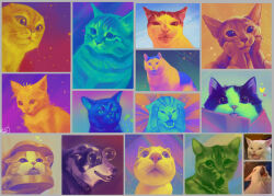  animal animal_focus art_study cat cat_covering_ears_(meme) cat_sandwich_(meme) color_study colorful commentary dog english_commentary huh?_cat_(meme) koriarredondo loading_cats_(meme) loading_icon meme meme_request no_humans original painterly photo-referenced real_life talking_cats_(meme) thurston_waffles thurston_waffles_screaming_(meme) too_many too_many_cats too_many_memes woman_yelling_at_cat_(meme) 