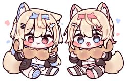  2girls :p :t animal_ear_fluff animal_ears bandaid bandaid_hair_ornament belt black_jacket blonde_hair blue_belt blue_eyes blue_hairband blue_streaks blush_stickers chewing chibi chibi_only colored_shoe_soles commentary crop_top cropped_shirt dog_ears dog_girl dog_tail double-parted_bangs doughnut dress fake_horns food fur-trimmed_jacket fur_trim fuwawa_abyssgard fuwawa_abyssgard_(1st_costume) hair_ornament hairband hairclip hololive hololive_english horn_hairband horns jacket long_hair long_sleeves looking_at_food looking_down mming_(mmingis18) mococo_abyssgard mococo_abyssgard_(1st_costume) multicolored_hair multiple_girls oversized_food oversized_object parallel_hairclips pink_belt pink_hairband pink_streaks pon_de_ring red_eyes shirt shoes short_dress short_hair shorts siblings simple_background sisters sitting small_sweatdrop sneakers streaked_hair tail tongue tongue_out twins two_side_up virtual_youtuber white_background white_dress white_shirt white_shoes white_shorts x_hair_ornament 