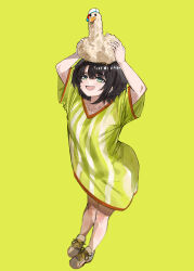  1girl absurdres arms_up bird black_hair duck duck_on_head green_background green_eyes highres holding_duck hololive knees long_shirt medium_hair oozora_subaru open_mouth original pan_thanyathon red_trim shirt shoes simple_background smile sneakers striped_clothes striped_shirt virtual_youtuber 