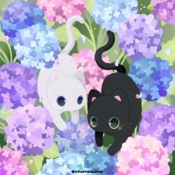  animal animal_focus black_cat blue_eyes blush cat commentary english_commentary flower green_eyes highres hydrangea leaf looking_at_viewer ninafresas no_humans original petals white_cat 
