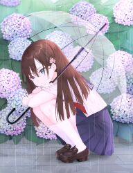  1girl aei_jiei blue_eyes blue_sailor_collar blue_skirt brown_hair brown_shoes commentary flower flower_hairpin from_side frown hair_between_eyes highres holding holding_umbrella hydrangea kneehighs leaf loafers long_hair looking_at_viewer mole mole_under_eye neckerchief original outdoors pleated_skirt rain red_neckerchief sailor_collar school_uniform serafuku shirt shoes short_sleeves sidelocks skirt socks solo squatting transparent transparent_umbrella turning_head umbrella untranslatable_commentary white_shirt white_socks 