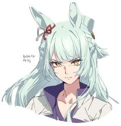  1girl animal_ears closed_mouth collarbone commentary_request cropped_shoulders dolldolldd ear_ribbon folded_hair folded_ponytail fujimasa_march_(umamusume) grey_hair highres horse_ears horse_girl jacket kasamatsu_tracen_training_uniform long_hair looking_at_viewer multicolored_jacket purple_jacket simple_background solo track_jacket two-tone_jacket umamusume umamusume:_cinderella_gray white_background yellow_eyes 