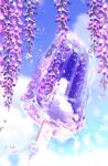  blue_sky clouds day flower food food_focus highres makoron117117 no_humans original outdoors popsicle popsicle_stick scenery sky transparent water_drop wisteria 