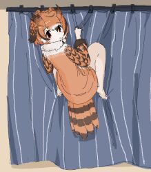  1girl barefoot bird_girl bird_tail blush climbing commentary_request curtain_grab curtains dot_nose dress eurasian_eagle_owl_(kemono_friends) feather_print feathered_arms feathers feral_instincts full_body fur-trimmed_collar fur_trim head_wings kemono_friends looking_at_viewer multicolored_hair no_pants oekaki orange_dress orange_eyes orange_hair owl_ears owl_girl owl_tail pale_skin rancer9161 smile solo tail two-tone_hair wings 