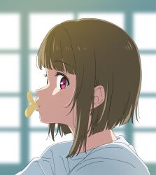  1girl blurry blurry_background brown_hair chips_(food) commentary_request food food_in_mouth highres looking_at_viewer love_live! love_live!_nijigasaki_high_school_idol_club medium_hair nakasu_kasumi potato_chips red_eyes sano_keiichi shirt solo white_shirt window 