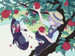  2boys apple basket black_bow black_bowtie black_gloves black_pants blue_hair bow bowtie deuce_spade diagonal-striped_bow diagonal-striped_bowtie diagonal-striped_clothes epel_felmier food fruit full_body gloves green_eyes hat highres holding holding_food holding_fruit iceee63 in_tree knee_up looking_up male_focus motor_vehicle motorcycle multiple_boys on_motorcycle open_mouth pants pants_rolled_up purple_hair purple_vest red_vest short_hair sitting sleeves_rolled_up smile striped_bow striped_bowtie striped_clothes tree twisted_wonderland vest white_bow white_bowtie 
