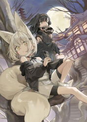  2girls absurdres animal_ear_fluff animal_ears architecture bare_shoulders bare_tree bike_shorts black_feathers black_hair black_jacket blonde_hair boots building cellphone closed_mouth commentary east_asian_architecture extra_ears feathered_wings feathers fox_ears fox_tail full_moon grey_hair hair_ornament hairband hairclip hand_fan highres holding holding_fan holding_phone in_tree jacket japanese_clothes long_sleeves looking_at_viewer mask mask_pull monster_girl moon mouth_mask multiple_girls night off_shoulder open_clothes open_jacket original outdoors phone shirt shoes short_hair shorts signature sitting sitting_in_tree sky sleeveless sleeveless_shirt smartphone tail tree tyaui_(xjju4435) white_hair white_shirt wings yellow_eyes 