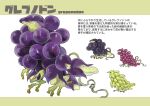  animal_focus character_name closed_mouth commentary_request dinosaur english_text food food_focus from_side fruit full_body grapes highres kumakoro_(tetsupag) mixed-language_text multiple_views no_humans orange_eyes original profile simple_background standing white_background 