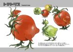  animal_focus bird blue_eyes character_name commentary_request english_text food_focus from_side full_body highres kumakoro_(tetsupag) mixed-language_text multiple_views no_humans orange_eyes original profile red_eyes simple_background standing tomato white_background 