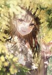  1girl blurry blush bow bowtie brown_hair brown_shirt dappled_sunlight depth_of_field flower frilled_sleeves frills hand_up highres long_hair long_sleeves looking_at_viewer mimosa_(flower) original parted_lips sakura_(39ra) shirt smile solo sunlight upper_body yellow_eyes yellow_flower 