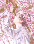  1boy absurdres acf_creator arm_up bad_link brown_hair closed_eyes collared_shirt day falling_petals flower from_side highres long_sleeves male_focus original outdoors painting_(medium) parted_lips petals pink_flower plum_blossoms shirt short_hair solo spring_(season) standing traditional_media tree upper_body watercolor_(medium) white_shirt 