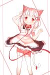  1girl :d animal_ears apron cat_ears cat_girl cat_tail chinese_commentary closed_mouth commentary_request feet_out_of_frame garter_straps highres looking_at_viewer maid original red_eyes rune_xiao short_hair short_sleeves smile tail thigh-highs tongue tongue_out white_apron white_background white_hair white_thighhighs 