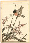  animal animal_focus animal_request bird bird_request cherry_blossoms fine_art flower imao_keinen nihonga no_humans original pink_flower sitting_on_branch traditional_media ukiyo-e 