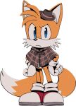  1boy animal_ears animal_nose blue_eyes body_fur brown_capelet brown_headwear capelet closed_mouth digimin fedora fox_boy fox_ears fox_tail full_body furry furry_male gloves hands_on_own_hips hat looking_at_viewer male_child male_focus mini_hat multiple_tails non-web_source official_art plaid_capelet red_footwear shoes simple_background socks solo sonic_(series) standing tail tails_(sonic) the_murder_of_sonic_the_hedgehog transparent_background two-tone_fur two_tails v-shaped_eyebrows white_fur white_gloves white_socks yellow_fur 