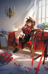  1girl absurdres animal_ear_fluff animal_ears arknights black_coat black_necktie black_shoes black_shorts black_tail blue_flower bottle brown_hair candle candlestand champagne_flute chinese_commentary coat collared_shirt commentary couch crossed_legs cup curtains day drinking_glass empty_picture_frame flower full_body gloves hair_between_eyes hand_in_own_hair highres indoors leg_warmers light_particles long_hair long_sleeves looking_at_viewer minhongchen necktie official_alternate_costume on_couch open_clothes open_coat paper parted_lips petals picture_frame red_eyes red_flower red_gloves red_rose red_shirt rose rose_petals shirt shoe_soles shoes shorts sitting solo striped_clothes striped_shorts sunlight sword table tail texas_(arknights) texas_(willpower)_(arknights) thigh_strap vertical-striped_clothes vertical-striped_shorts weapon wind window wolf_ears wolf_girl wooden_table 