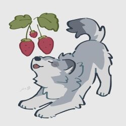  absurdres animal_focus closed_eyes commentary food fruit grey_background highres leaf no_humans original rinrinwolf signature simple_background strawberry tongue tongue_out wolf 