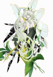  1girl absurdly_long_hair absurdres animal_ear_fluff animal_ears arknights bare_shoulders black_thighhighs bracelet breasts cat_ears cat_girl closed_mouth commentary dress floral_background flower full_body green_eyes green_hair hands_up highres jewelry kal'tsit_(arknights) kal'tsit_esperanta_(arknights) leaf long_hair looking_at_viewer lying on_side plant solo thigh-highs very_long_hair white_background white_dress white_flower ye_(ran_chiiipye) 