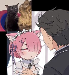  animal_ear_fluff animal_ears black_hair black_suit cat cat_ears cat_girl closed_mouth collar commentary_request detached_collar from_behind hair_over_one_eye hair_ribbon hairband highres looking_at_viewer maid natsuki_subaru photo_inset purple_ribbon ram_(re:zero) re:zero_kara_hajimeru_isekai_seikatsu red_eyes red_hair ribbon short_hair suit sunegg1112 sweatdrop upper_body white_collar 