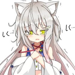  1girl ahoge animal_ear_fluff animal_ears bare_shoulders bell blush cat_ears cat_girl commentary ev_two fang furrowed_brow grey_hair hair_between_eyes hands_up huge_ahoge jingle_bell kuro_(sakura_moyu) long_hair looking_down neck_bell open_mouth own_hands_together sakura_moyu scared simple_background slit_pupils solo sound_effects tearing_up trembling tsurime upper_body very_long_hair white_background yellow_eyes 