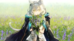  1girl absurdres animal_ear_fluff animal_ears arknights black_coat black_gloves blush bouquet closed_mouth clothes_writing coat coat_on_shoulders commentary crossed_bangs day field flower fumi_(rdbm) gloves green_eyes hair_between_eyes hair_intakes highres holding holding_bouquet infection_monitor_(arknights) long_hair looking_at_viewer outdoors plant purple_flower rosmontis_(arknights) shirt smile solo tail white_hair white_shirt white_tail 