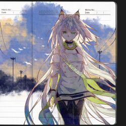  1girl absurdres animal_ear_fluff animal_ears arknights bare_shoulders black_thighhighs cat_ears cat_girl chinese_commentary clouds commentary_request cowboy_shot dress green_eyes highres kal'tsit_(arknights) kal'tsit_esperanta_(arknights) lined_paper long_hair looking_at_viewer outdoors paper_background short_dress simple_bird sky solo standing thigh-highs utility_pole very_long_hair white_dress white_hair www09 