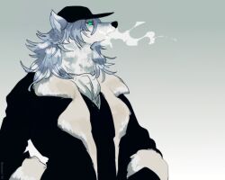  1boy animal_ears artist_name commentary_request fate/grand_order fate_(series) fur-trimmed_jacket fur_trim furry furry_male green_eyes grey_fur grey_hair highres jacket looking_to_the_side open_mouth patxi_(fate) ryokutya1107 solo steam wolf_boy wolf_ears 