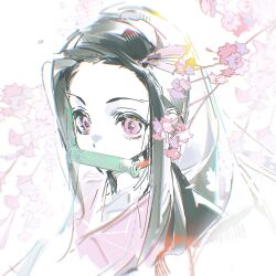  1girl bamboo bit_gag black_hair chinese_commentary colored_skin commentary_request cropped_shoulders flower forehead gag gagged hair_ribbon highres japanese_clothes kamado_nezuko kimetsu_no_yaiba kimono long_hair pink_eyes pink_flower pink_kimono pink_ribbon ribbon sketch solo white_skin xihuan_ye 