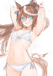  1girl absurdres alternate_costume animal_ears arms_behind_head bikini blue_eyes blue_ribbon blush breasts brown_hair cowboy_shot ear_ornament ear_ribbon highres horse_ears horse_girl horse_tail long_hair multicolored_hair navel ponytail ribbon ribs shimura_(hosshi) side-tie_bikini_bottom simple_background single_hair_streak sketch small_breasts smirk solo streaked_hair string_bikini swimsuit tail teeth tokai_teio_(umamusume) umamusume v-shaped_eyebrows white_background white_bikini white_streaks 
