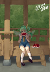  1girl absurdres ayang black_shoes blue_dress commentary daiyousei dress food fruit full_body green_eyes green_hair highres long_hair outdoors shoes short_sleeves side_ponytail sitting socks solo touhou transparent_wings watermelon watermelon_slice white_socks wings 