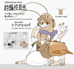  1girl abdomen_tail absurdres all_fours ant antennae aqua_tongue arthropod_girl backless_outfit bandaged_foot bandaged_hand bandages blonde_hair breasts brown_eyes brown_hood brown_shirt bug clawed_feet colored_skin commentary_request english_text extra_legs full_body grey_background hat_tassel highres hood hood_pull hood_up latin_commentary leg_up light_smile looking_at_viewer looking_back medium_breasts mixed-language_commentary monster_girl original pale_skin purple_scarf rectsxux scarf shirt shoulder_blades solo thick_thighs thighs white_skin wide_hips yellow_claws 