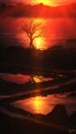  2others absurdres bare_tree evening grass highres multiple_others original outdoors power_lines reflection reflective_water scenery signature silhouette skyrick9413 sunset tree utility_pole water wide_shot 