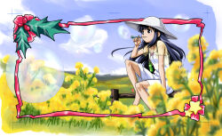  1girl bare_arms barefoot blowing_bubbles blue_hair blue_sky bottle brown_eyes bubble_pipe choko_(chokotto_sister) chokotto_sister closed_mouth commentary_request day dress fence flower hand_up hat highres holding knee_up leaf long_hair official_art on_fence outdoors pink_ribbon ribbon sidelocks signature sitting sky soap_bubbles solo star_(symbol) sun_hat sundress trim_marks umetsu_yukinori water_bottle white_dress white_hat wooden_fence yellow_flower 