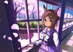  1girl animal_ears blush bow bowtie brown_hair cherry_blossoms closed_mouth commentary_request duplicate fine_motion_(umamusume) green_eyes hair_between_eyes hair_bun hair_ornament hallway highres horse_ears horse_girl ikaashi_you long_sleeves medium_hair multicolored_hair pleated_skirt purple_sailor_collar purple_serafuku purple_shirt purple_skirt sailor_collar sailor_shirt school_uniform serafuku shirt skirt smile solo tracen_school_uniform umamusume white_bow white_bowtie white_hair window winter_uniform 