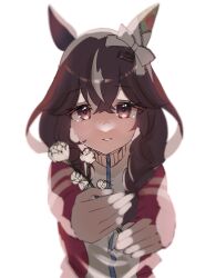  1girl animal_ears blush braid braided_sidelocks breasts brown_hair curren_bouquetd'or_(umamusume) disney_o626 ear_covers flower grey_eyes hair_between_eyes hair_ornament hairband highres holding holding_flower horse_ears horse_girl jacket long_hair long_sleeves looking_at_viewer low_twin_braids mismatched_ear_covers multicolored_hair parted_lips red_jacket sidelocks simple_background smile solo streaked_hair tracen_training_uniform track_jacket twin_braids umamusume upper_body very_long_braid white_background white_streaks 