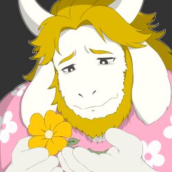  1boy asgore_dreemurr beard blonde_hair commentary crying crying_with_eyes_open deltarune english_commentary facial_hair fangs floppy_ears flower furrowed_brow furry furry_male gammarune goat_horns highres holding holding_flower horns looking_at_flowers male_focus pink_shirt sad shirt skin_fangs tears utdr_(toby_fox) white_fur yellow_flower 