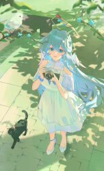  1girl absurdres alternate_costume aqua_eyes bare_shoulders bench bird black_cat blue_hair camera cat clothing_cutout commentary dappled_sunlight dress earrings english_commentary from_above full_body grass hair_between_eyes halo head_wings high_heels highres holding holding_camera honkai:_star_rail honkai_(series) horik_22 jewel_under_eye jewelry long_hair looking_at_viewer open_mouth outdoors park_bench pearl_earrings robin_(honkai:_star_rail) scrunchie sett shoes shoulder_cutout signature single_earring smile solo sunlight very_long_hair white_bird white_dress white_shoes white_wings wings wrist_scrunchie 