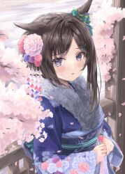  1girl alternate_costume animal_ears blue_kimono blush breasts brown_hair cherry_blossoms commentary_request floral_print floral_print_kimono flower fur-trimmed_kimono fur_trim hair_flower hair_ornament hairclip highres horse_ears horse_girl japanese_clothes kimono long_hair long_sleeves mejiro_dober_(umamusume) open_mouth print_kimono solo tsurubami_(gaad5227) umamusume violet_eyes 