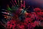  absurdres animal_focus black_background bubble fish fish_request flower highres lionfish original red_flower spider_lily tainosuke translation_request 