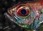  absurdres animal_focus black_background dated fish highres looking_at_viewer no_humans original signature tainosuke 