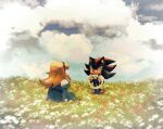  1boy 1girl 9474s0ul animal_ears animal_nose blonde_hair blue_dress closed_mouth clouds commentary day dress english_commentary field flower flower_field flower_wreath furry furry_male gloves holding_wreath long_hair looking_at_another maria_robotnik outdoors shadow_the_hedgehog shoes sitting smile sonic_(series) standing white_gloves 