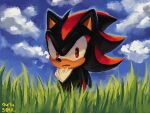  1boy 9474s0ul animal_ears animal_nose closed_mouth clouds commentary day english_commentary furry furry_male grass looking_at_viewer male_focus outdoors pokemon_art_academy red_eyes shadow_the_hedgehog signature solo sonic_(series) upper_body 
