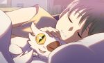  1girl animal_ear_fluff bed bedroom blanket bookshelf brown_hair cat closed_eyes colored_sclera commentary curled_up daijin_(suzume) eyelashes fang fingernails front_to_back green_eyes grin happy headpat indoors iwato_suzume looking_at_viewer lying on_bed on_side one_eye_closed open_mouth parted_lips petting shirt short_sleeves slit_pupils smile solo suzume_no_tojimari syope under_covers white_cat yellow_sclera yellow_shirt 