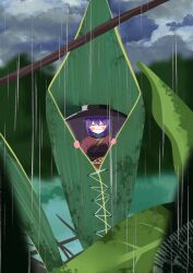  1girl absurdres blush bowl bowl_hat brown_sash closed_eyes closed_mouth clouds commentary_request facing_viewer gasubanana hat highres japanese_clothes kimono leaf mini_person minigirl obi outdoors purple_hair rain red_kimono sash smile solo sukuna_shinmyoumaru touhou 