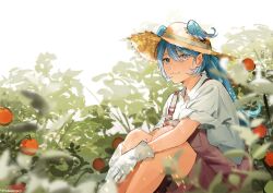  1girl :3 aqua_eyes artist_name blue_hair blurry blurry_foreground bokeh commentary depth_of_field elira_pendora farming flowersforji gloves grey_eyes hat head_wings heterochromia highres long_hair looking_at_viewer nijisanji nijisanji_en overalls pointy_ears ponytail sitting sleeves_rolled_up solo straw_hat tomato twitter_username untranslatable_commentary virtual_youtuber wings 