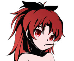 1girl absurdres highres mahou_shoujo_madoka_magica mahou_shoujo_madoka_magica:_walpurgis_no_kaiten mahou_shoujo_madoka_magica_(anime) portrait sakura_kyoko simple_background solo white_background x3n
