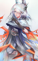  1girl absurdres animal_ears arknights black_gloves blue_eyes breasts coat commentary_request dress frostnova_(arknights) gloves grey_coat grey_dress hair_over_one_eye highres liuyun_baihua long_hair looking_at_viewer medium_breasts rabbit_ears rabbit_girl solo 