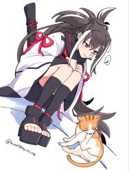  1girl black_hair black_scarf black_shorts breasts brown_eyes cat commentary_request fate/grand_order fate_(series) high-waist_shorts highres kawakami_gensai_(fate) kawakami_gensai_(first_ascension)_(fate) kuriimu0203 long_hair long_sleeves medium_breasts multicolored_hair platform_sandals ponytail red_shirt sandals scarf shirt shorts sidelocks sitting smile streaked_hair wariza white_hair white_sleeves wide_sleeves 