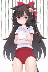  1girl animal_ears bow braid brown_hair buruma closed_mouth commentary_request comomo cowboy_shot daiichi_ruby_(umamusume) disgust drill_hair ears_down flower gem gym_uniform hand_on_own_chin hand_on_own_wrist highres horse_ears horse_girl horse_tail large_bow long_hair looking_at_viewer no_nose pink_eyes pink_flower puffy_short_sleeves puffy_sleeves raised_inner_eyebrows red_bow red_buruma red_gem shaded_face shirt short_sleeves simple_background solo tail tracen_training_uniform twin_drills umamusume white_background white_shirt yellow_flower 